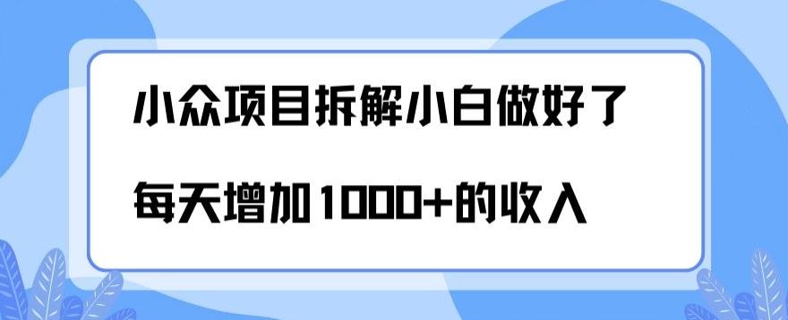 小众项目拆解,小白做好了每天可增加1000多的收入-Z网创