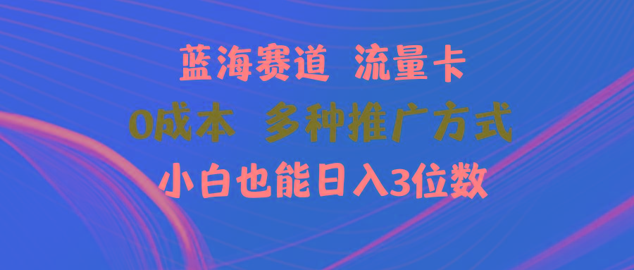 蓝海赛道 流量卡 0成本 小白也能日入三位数-Z网创