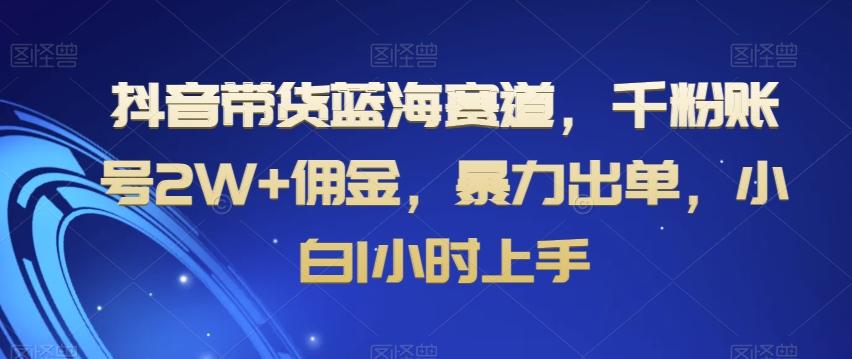 抖音带货蓝海赛道，千粉账号2W+佣金，暴力出单，小白1小时上手【揭秘】-Z网创
