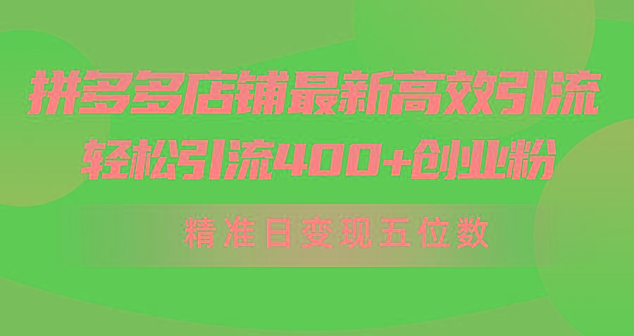 (10041期)拼多多店铺最新高效引流术，轻松引流400+创业粉，精准日变现五位数！-Z网创