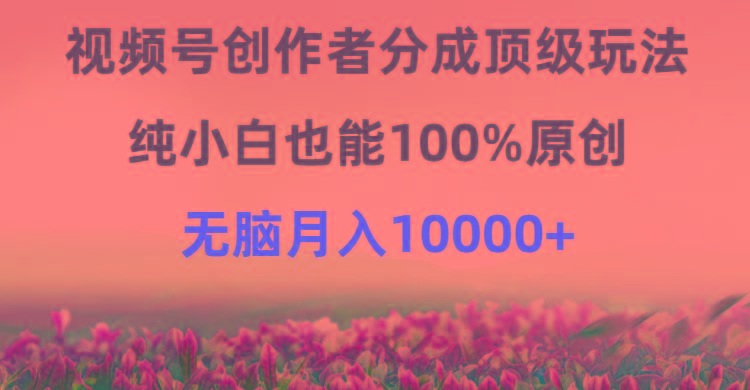 (9608期)视频号创作者分成顶级玩法，纯小白也能100%原创，无脑月入10000+-Z网创