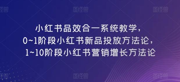 小红书品效合一系统教学,0~1阶段小红书新品投放方法论,1~10阶段小红书营销增长方法论-Z网创