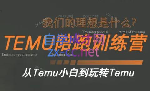 苗苗·拼多多跨境（temu）课程-Z网创