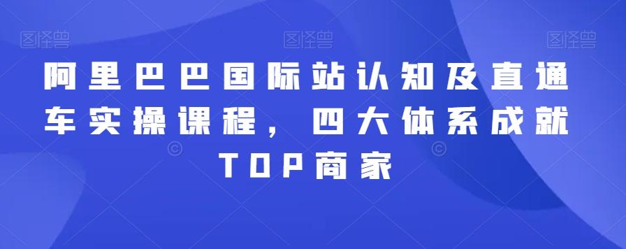 阿里巴巴国际站认知及直通车实操课程，四大体系成就TOP商家-Z网创