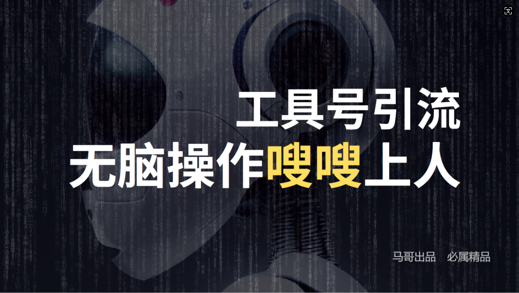 24年抖音最新工具号日引流300+创业粉,日入5000+-Z网创