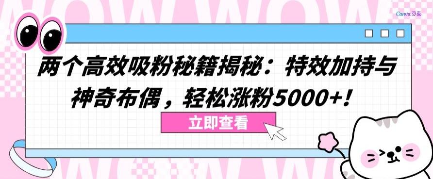 两个高效吸粉秘籍揭秘：特效加持与神奇布偶，轻松涨粉5000+【揭秘】-Z网创