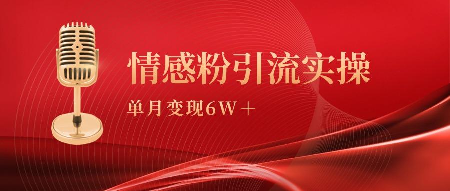 (9473期)单月变现6w+，情感粉引流变现实操课-Z网创