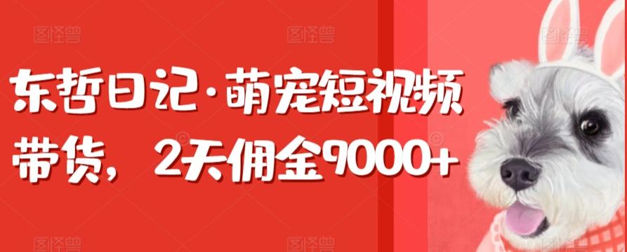 东哲日记·萌宠短视频带货，2天佣金9000+-Z网创
