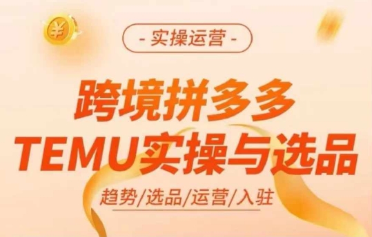 跨境拼多多TEMU实操与选品，多多temu跨境选品运营实操-Z网创