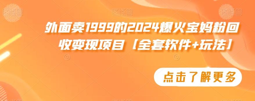 外面卖1999的2024爆火宝妈粉回收变现项目【全套软件+玩法】【揭秘】-Z网创