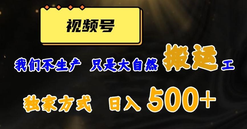 视频号轻松搬运日赚500+，一个1分钟1条原创视频【揭秘】-Z网创