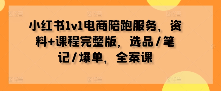 小红书1v1电商陪跑服务，资料+课程完整版，选品/笔记/爆单，全案课-Z网创