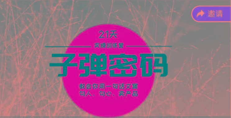 《子弹密码训练营》-用一句话文案勾人勾心卖产品,21天学到顶尖文案大师策略和技巧-Z网创