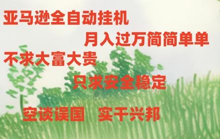 亚马逊全自动浏览挂机，，收益稳定且前景广阔-Z网创