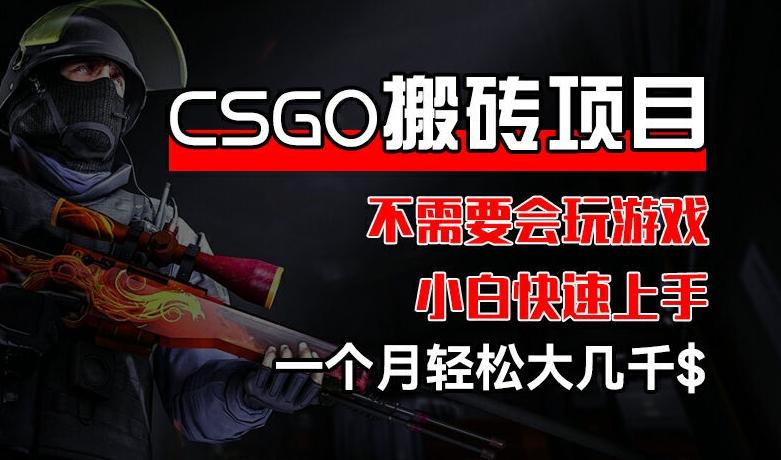 CSGO 装备搬砖项目，操作简单，不需要会玩游戏，小白也能快速上手，一个月轻松大几千【揭秘】-Z网创