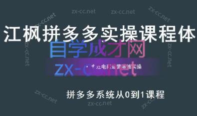 江枫老师·拼多多实操课程-Z网创