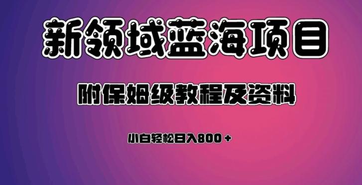 虚拟资源蓝海领域新项目，轻松日入800＋，附保姆级教程及资料-Z网创