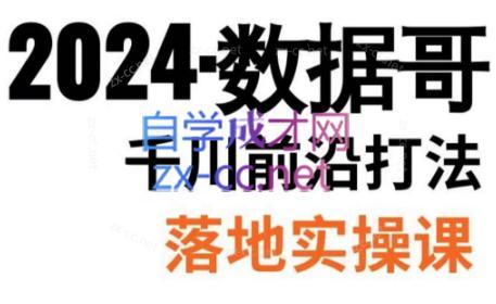 数据哥·2024年千川前沿打法落地实操课-Z网创