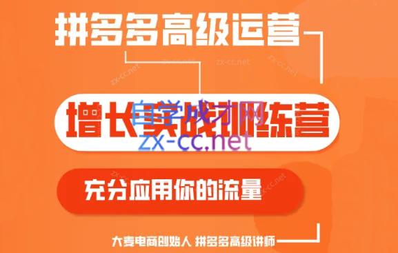 大麦老师·拼多多单品爆款打造课程(更新6月)-Z网创