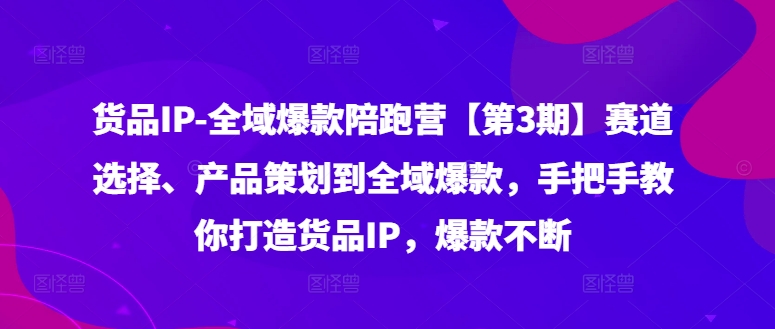 货品IP全域爆款陪跑营【第3期】赛道选择、产品策划到全域爆款，手把手教你打造货品IP，爆款不断-Z网创
