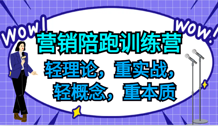 营销陪跑训练营，轻理论，重实战，轻概念，重本质，适合中小企业和初创企业的老板-Z网创