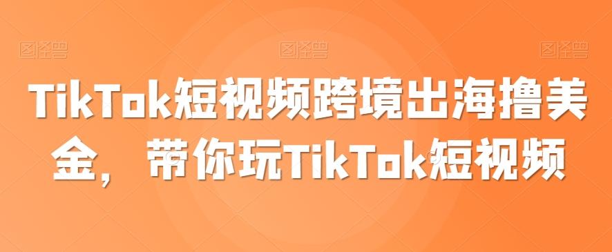 TikTok短视频跨境出海撸美金，带你玩TikTok短视频-Z网创
