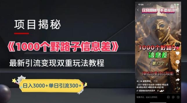 一千个野路子信息差最新玩法教程-变现+引流的玩法具体拆解【揭秘】-Z网创