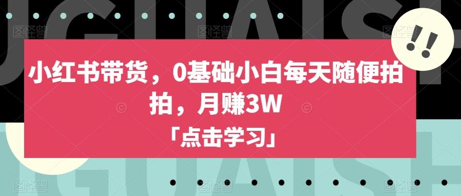 小红书带货，0基础小白每天随便拍拍，月赚3W【揭秘】-Z网创