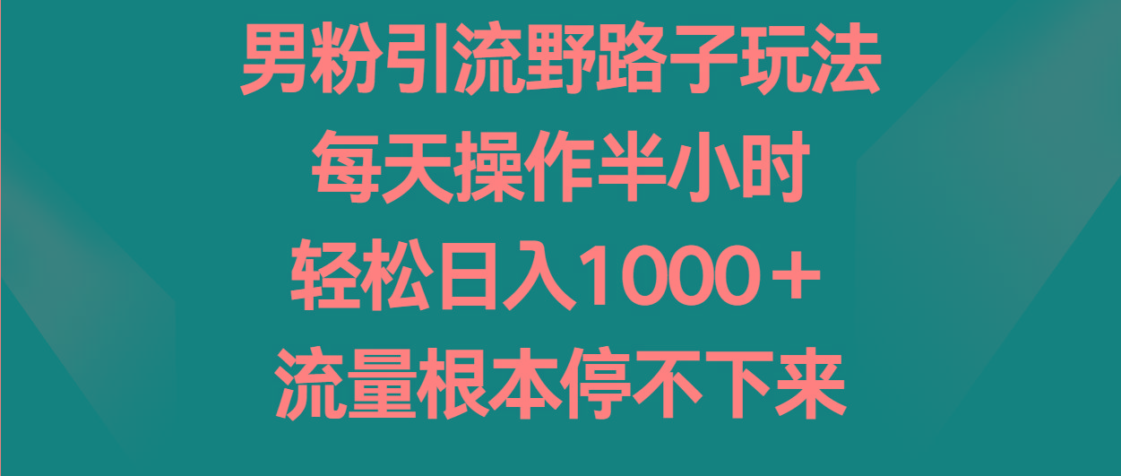 男粉引流野路子玩法，每天操作半小时轻松日入1000＋，流量根本停不下来-Z网创