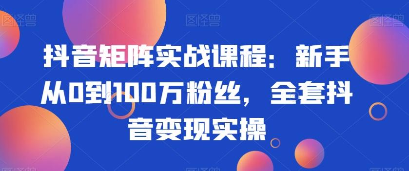 抖音矩阵实战课程：新手从0到100万粉丝，全套抖音变现实操-Z网创