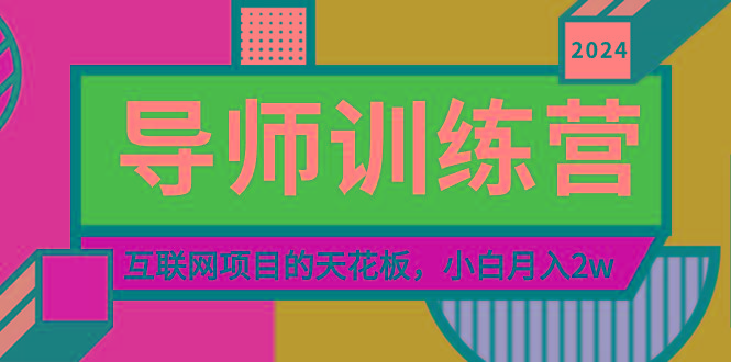 《导师训练营》精准粉丝引流的天花板，小白月入2w-Z网创