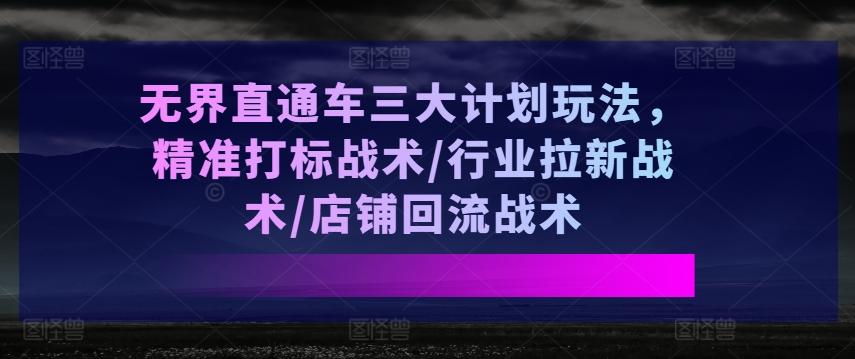 无界直通车三大计划玩法，精准打标战术/行业拉新战术/店铺回流战术-Z网创