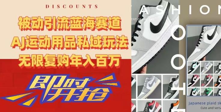 被动引流蓝海赛道，AJ运动用品私域玩法，无限复购年入百万【揭秘】-Z网创