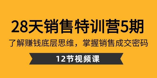 28天销售特训营5期：了解赚钱底层思维，掌握销售成交密码（12节课）-Z网创