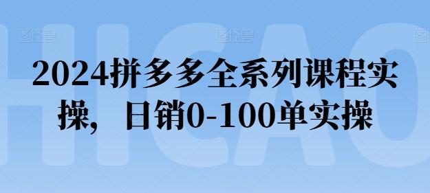 2024拼多多全系列课程实操，日销0-100单实操【必看】-Z网创