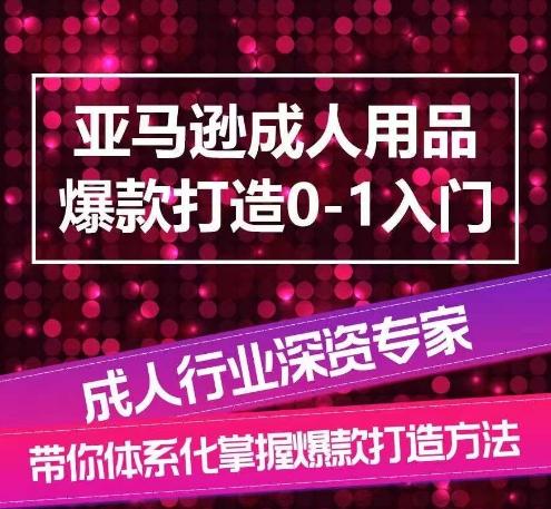 亚马逊成人用品爆款打造0-1入门，系统化讲解亚马逊成人用品爆款打造的流程-Z网创