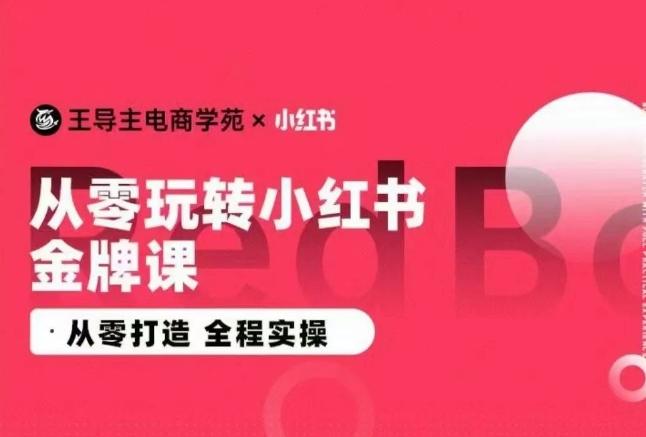 王导主·小红书电商运营实操课，​从零打造  全程实操-Z网创