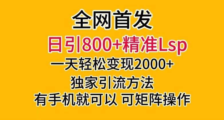 全网首发！日引800+精准老色批，一天变现2000+，独家引流方法，可矩阵操作【揭秘】-Z网创