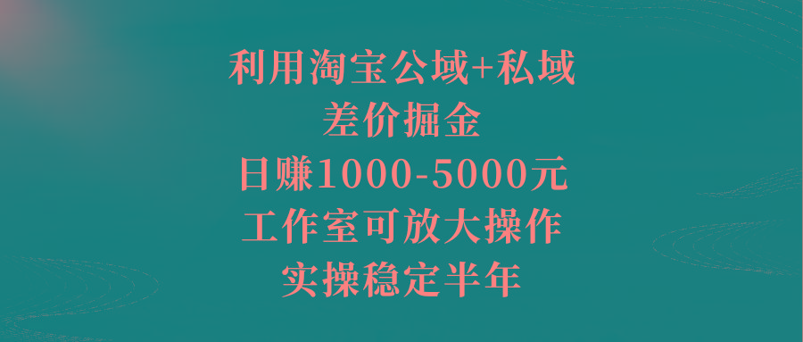 利用淘宝公域+私域差价掘金，日赚1000-5000元，工作室可放大操作，实操…-Z网创