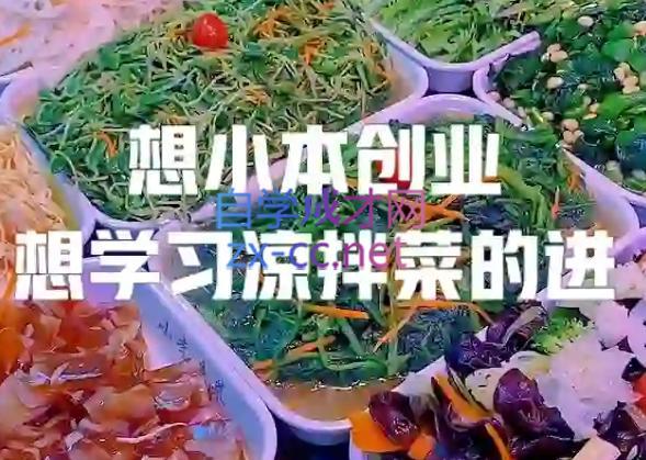 李记·精品凉拌菜系列热卤系列教程-Z网创