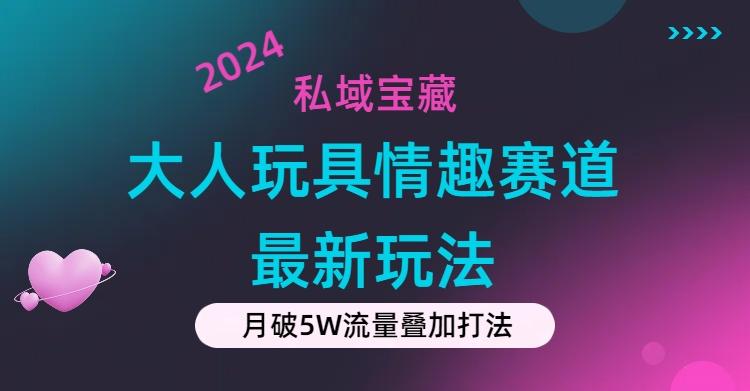 私域宝藏：大人玩具情趣赛道合规新玩法，零投入，私域超高流量成单率高-Z网创
