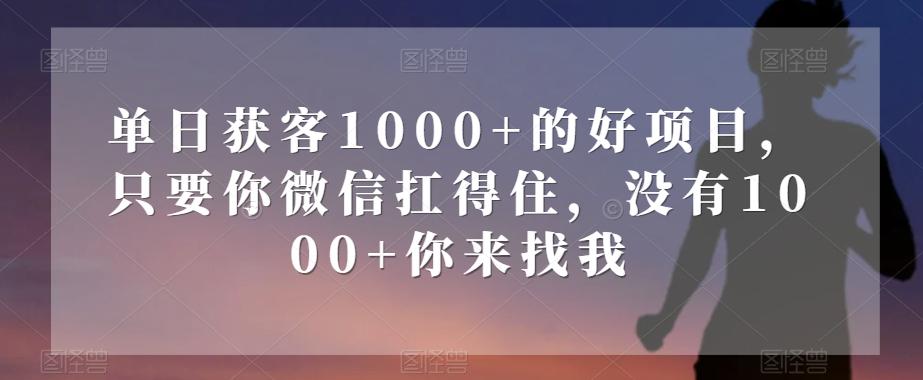 单日获客1000+的好项目，只要你微信扛得住，没有1000+你来找我【揭秘】-Z网创