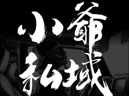 小爷·私域项目操盘手-Z网创