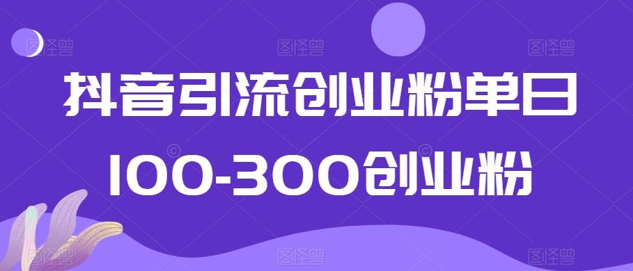 抖音引流创业粉单日100-300创业粉【揭秘】-Z网创