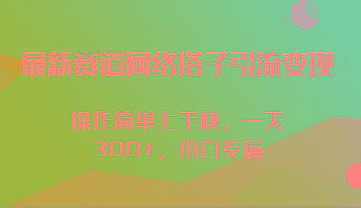 最新赛道网络搭子引流变现!!操作简单上手快，一天300+，小白专属-Z网创