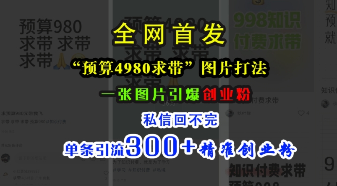 小红书“预算4980带我飞”图片打法，一张图片引爆创业粉，私信回不完，单条引流300+精准创业粉-Z网创