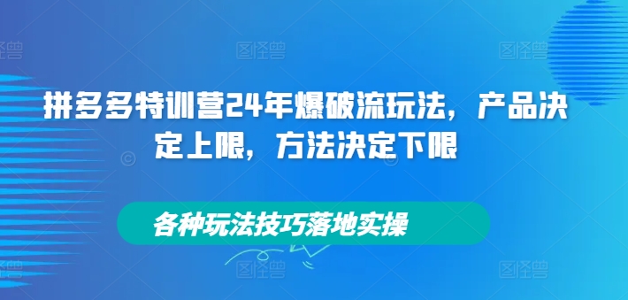 拼多多特训营24年爆破流玩法，产品决定上限，方法决定下限，各种玩法技巧落地实操-Z网创