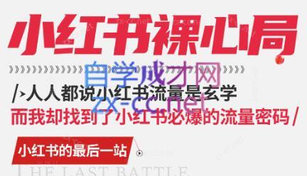 月月老师·小红书低粉高变现课-Z网创