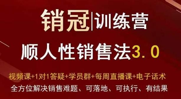 爆款！销冠训练营3.0之顺人性销售法，全方位解决销售难题、可落地、可执行、有结果-Z网创