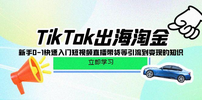 (10035期)TikTok-出海淘金,新手0-1快速入门短视频直播带货等引流到变现的知识-Z网创